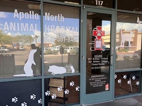 Top-notch Pet Care at Apollo North Animal Hospital in Glendale, AZ - Book Now!