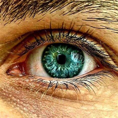 Discover Your True Eye Color with Our Top-Rated Eye Color App