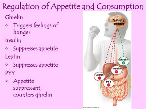 Appetite and Consumption