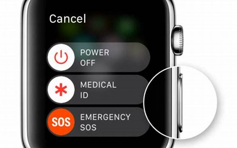 Apple Watch Power Off Screen