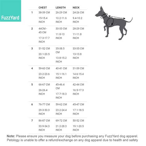 Apple Bottom Jeans Size Chart