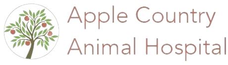 Top-Rated Veterinary Services at Apple Country Animal Hospital - Keeping Your Pets Healthy and Happy!