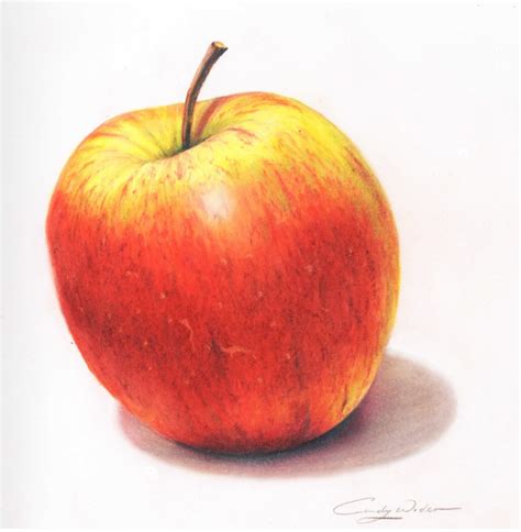Apple Drawing Color
