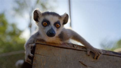 Apple TV+ Unveils First Look & Premiere Date For ‘Trying’ Season 5: The Return of Nikki and Jason