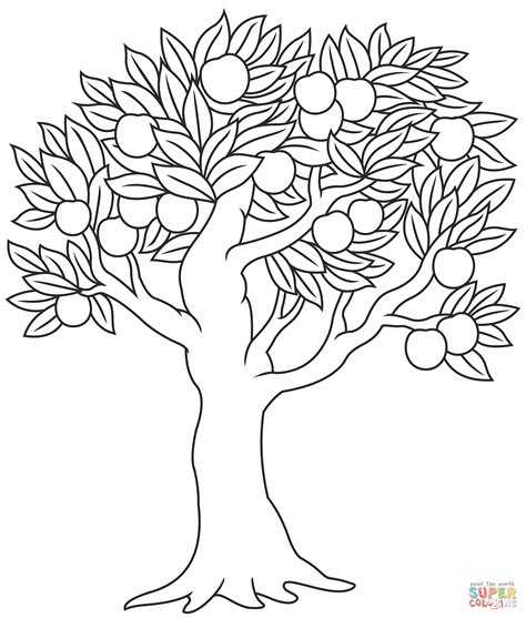 Apple Tree Coloring Sheet
