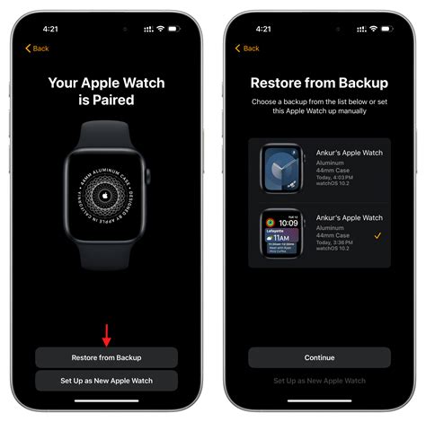 Apple Watch data backup