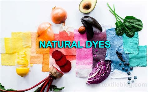 Application 101: Mastering the Natural Dye Process
