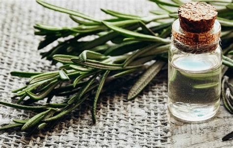 Application Guide: Using Rosemary Oil for Hair Growth