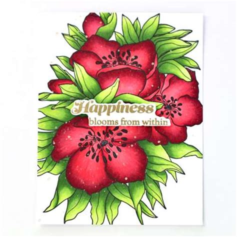 Application Mastery: Pro Tips for Home Coloring