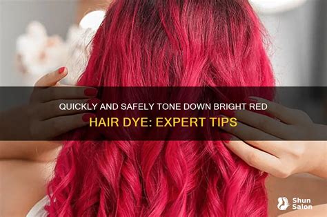 Application Mastery: Step-by-Step for Vivid Results