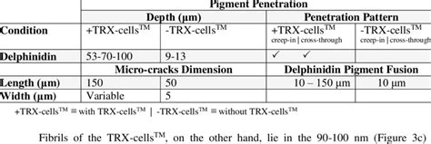 Application Tips for Maximum Pigment Penetration