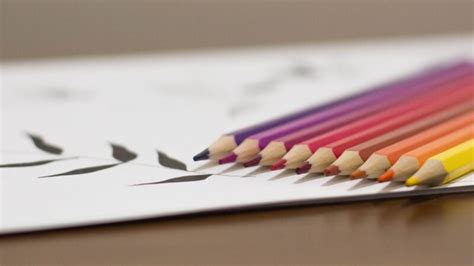 Application and Coloring Techniques