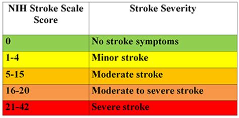 Application in Stroke Severity Classification