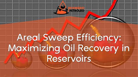 Application is Key: Tips for Maximizing Oil Effectiveness