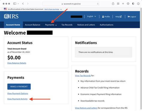 Applying Online (The IRS Preferred Method)