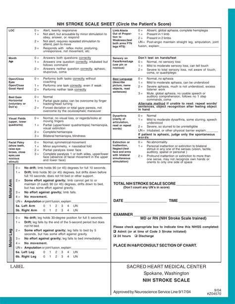 Appropriate Situation for NIH Stroke Scale Implementation