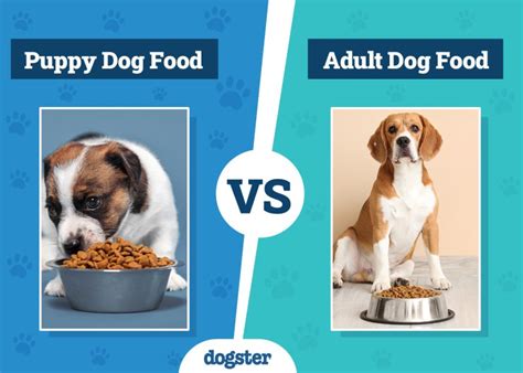 Approved vs Regulated Dog Food