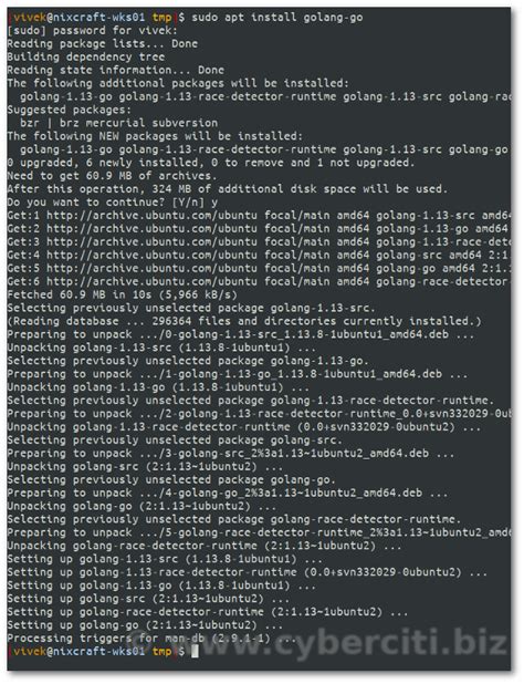 Apt Get Install Golang