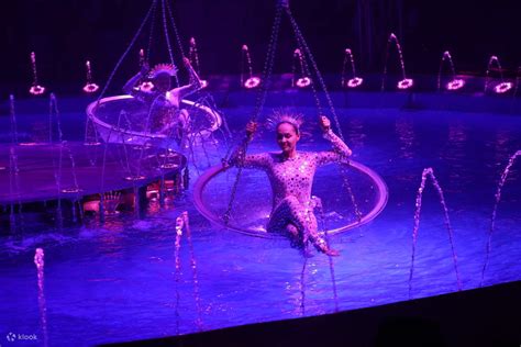 Aqua Circus Tickets