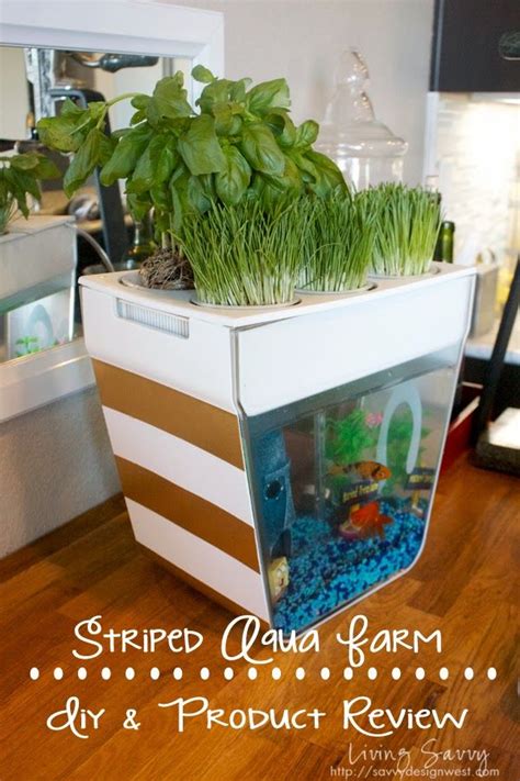 Aqua Farm Diy