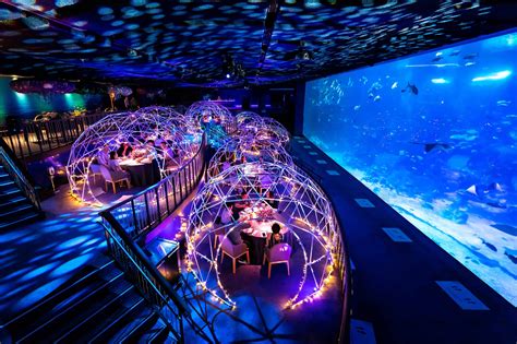 Aqua World Dining