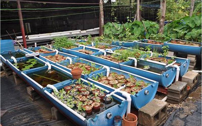 can you have an aquaponic farm in washington state