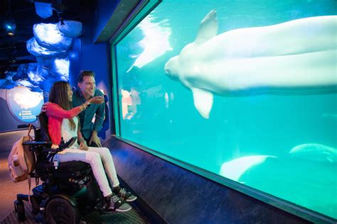 Aquarium Accessibility