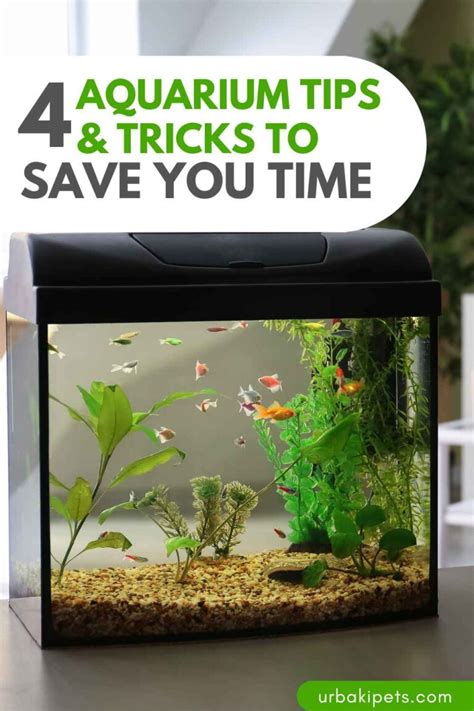 Aquarium Tips