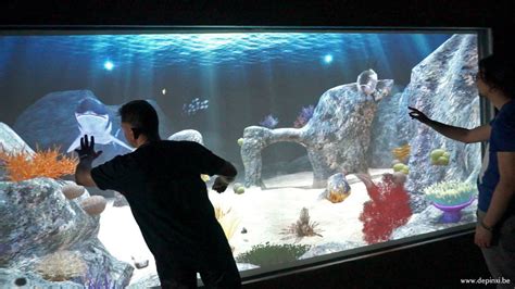 Aquariums with Interactive Elements