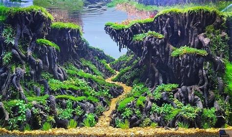 Aquascape Indonesien