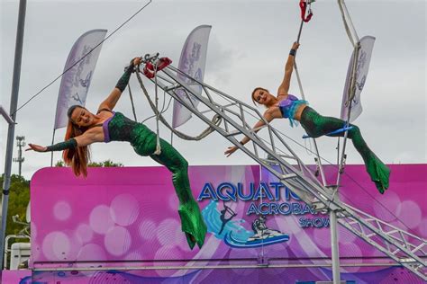 Aquatic Acrobats