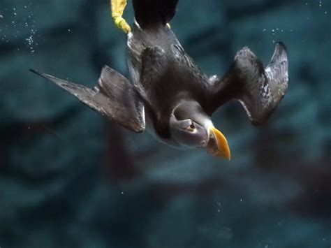 Aquazoo Animal Exhibit