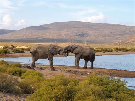 Aquila Game Reserve Tips