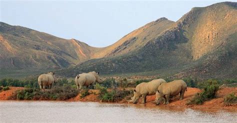 Aquila Game Reserve location