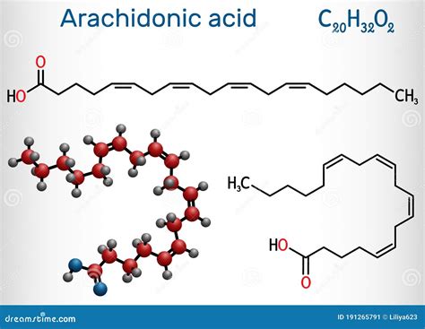 Arachidonic