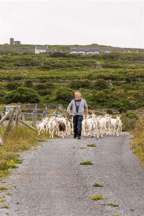 Aran Islands Food