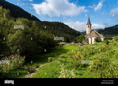 Aran Valley 4×4 Tour: Exploring Wildlife, Flora, & Alpine Views
