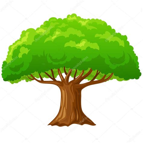 Arbol De Animado