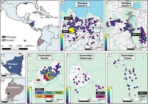 Frontiers Chikungunya Virus An Emergent Arbovirus to the South