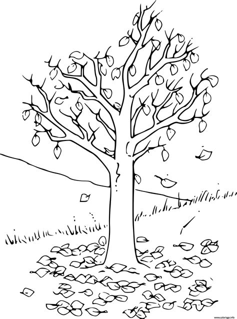 Arbre Automne Coloriage