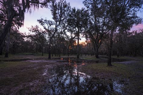 Arcadia Florida parques y naturaleza