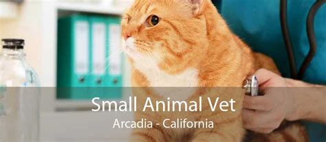 Expert Care for Your Furry Friends: Visit Arcadia Small Animal Hospital in Arcadia, CA Today!