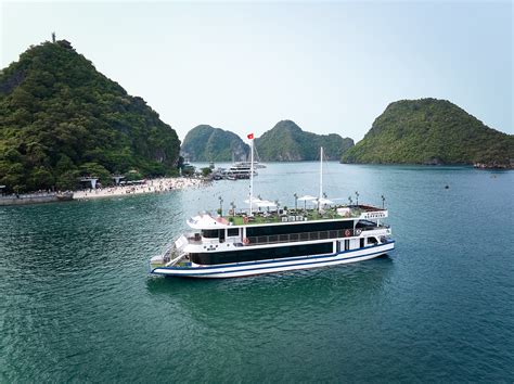 Arcady Cruise Experience