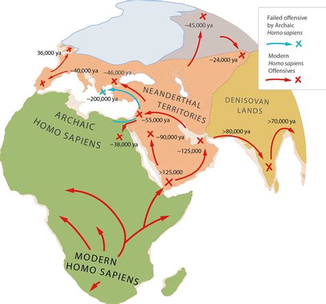  Map showing the potential distribution of archaic hominins, including