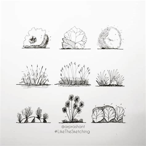 Architecture Drawing Plants