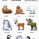 Arctic Animals Printable