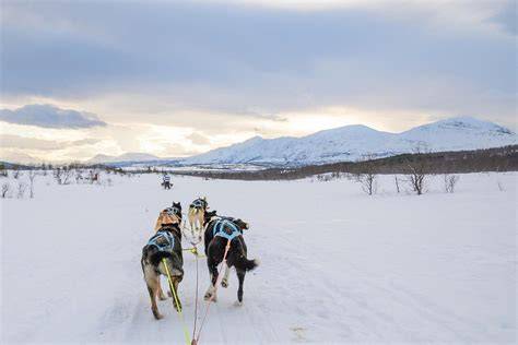 Arctic Adventure Extending