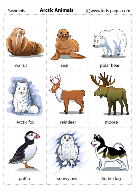 Arctic Animals Preschool Printables