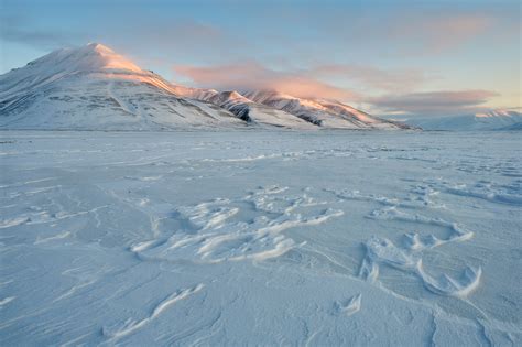 Arctic Photography