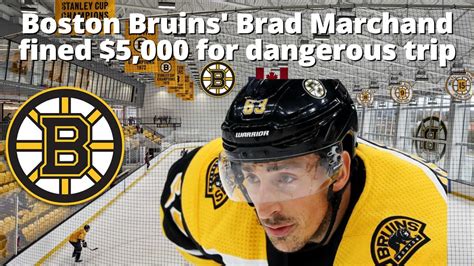 Are Bruins Dangerous?